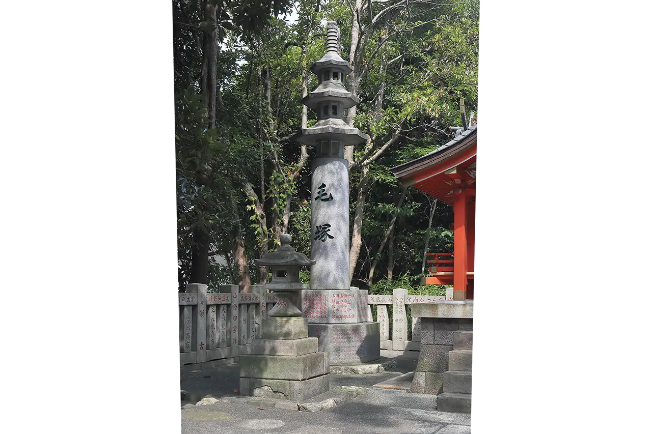 毛塚
