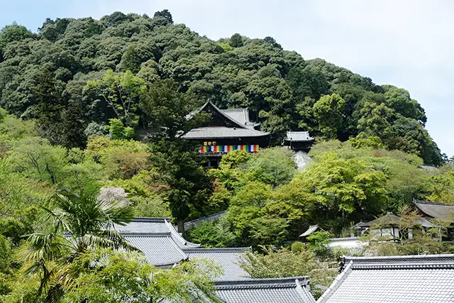 長谷寺