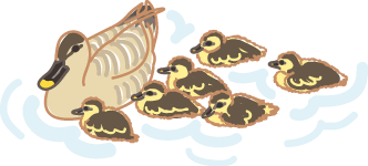 鴨