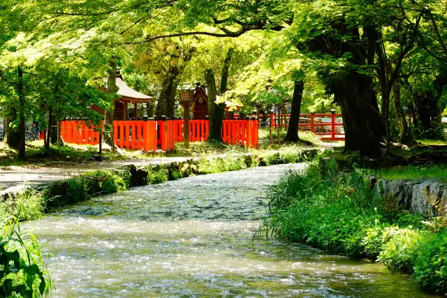 上賀茂神社 ならの小川